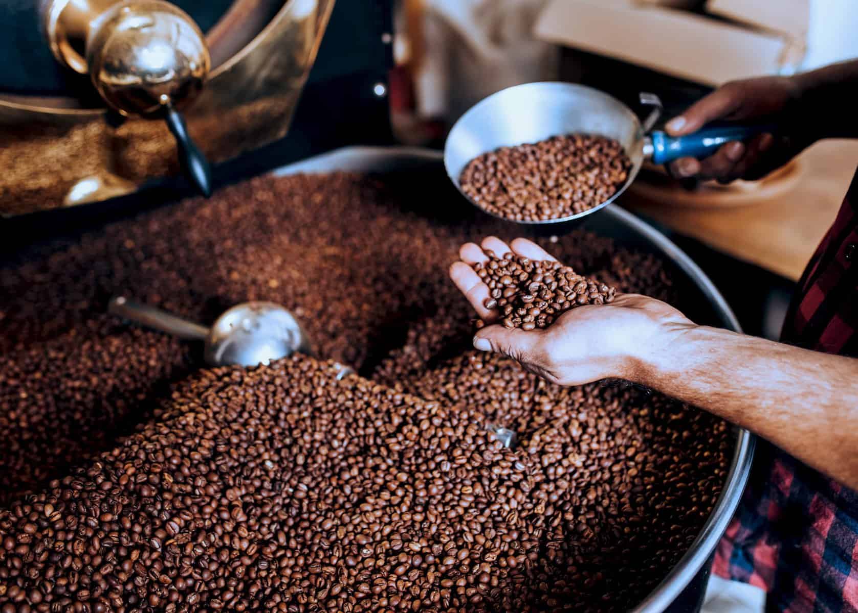 does coffee go bad in the fridge? Coffee At Corner