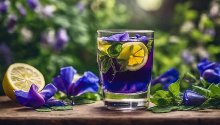 7 Butterfly Pea Tea Drinks to Refresh Your Palate